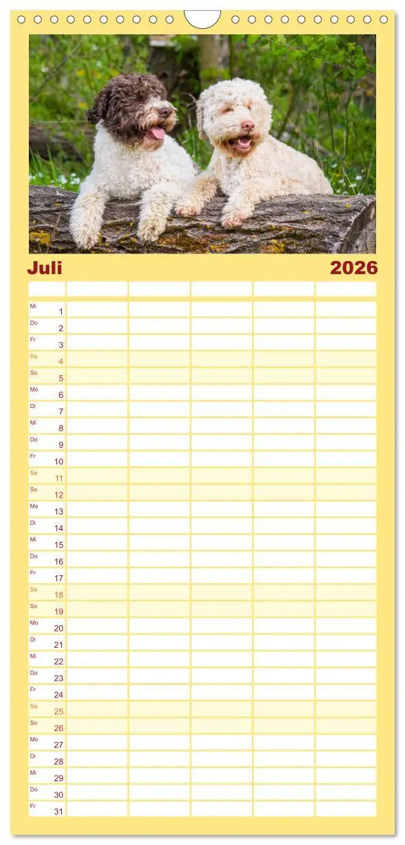 Bild: 9783516499049 | Familienplaner 2026 - Lagotto Romagnolo - der Trüffelhund Italiens...