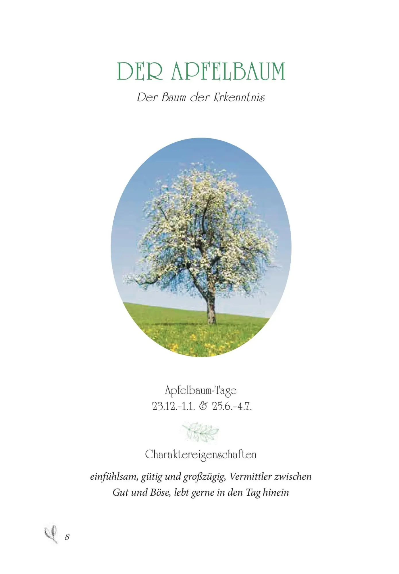 Bild: 9783800079049 | Baumhoroskop der Kelten | Christoph Matzl | Buch | 144 S. | Deutsch