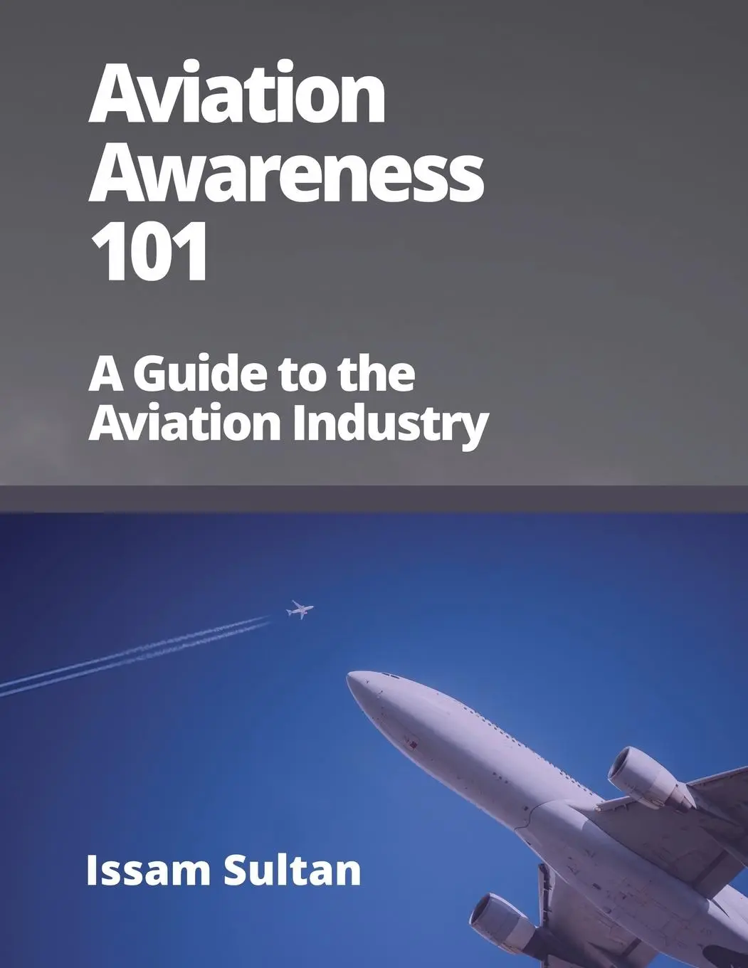 Cover: 9781917329149 | Aviation Awareness 101 | A Guide to the Aviation Industry | Sultan