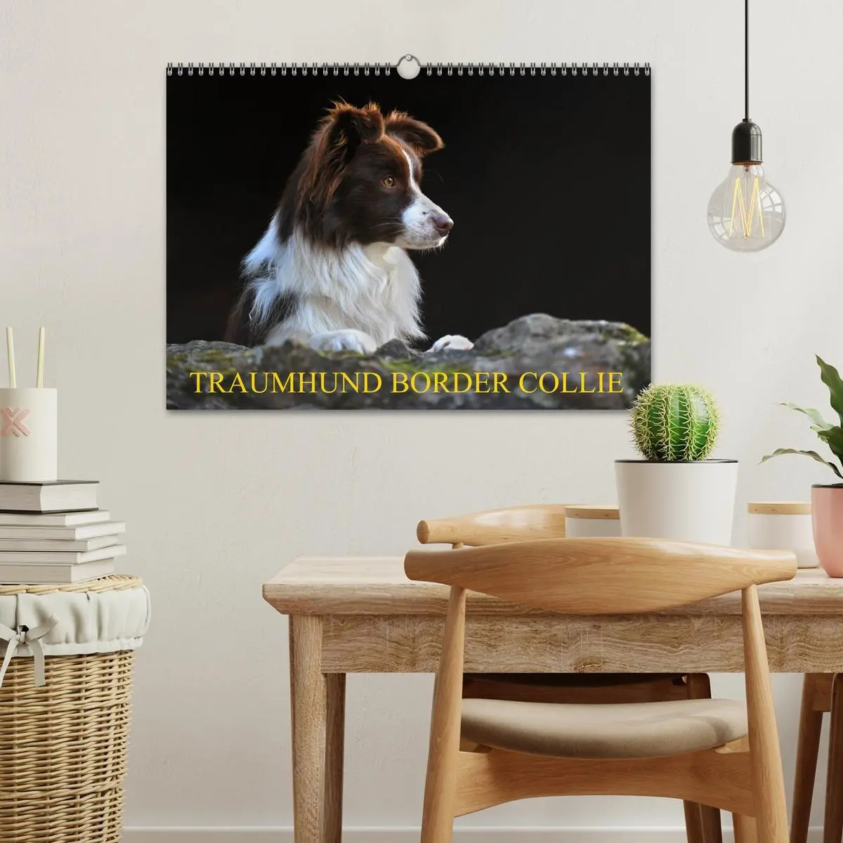 Bild: 9783457919149 | Traumhund Border Collie (Wandkalender 2026 DIN A3 quer), CALVENDO...