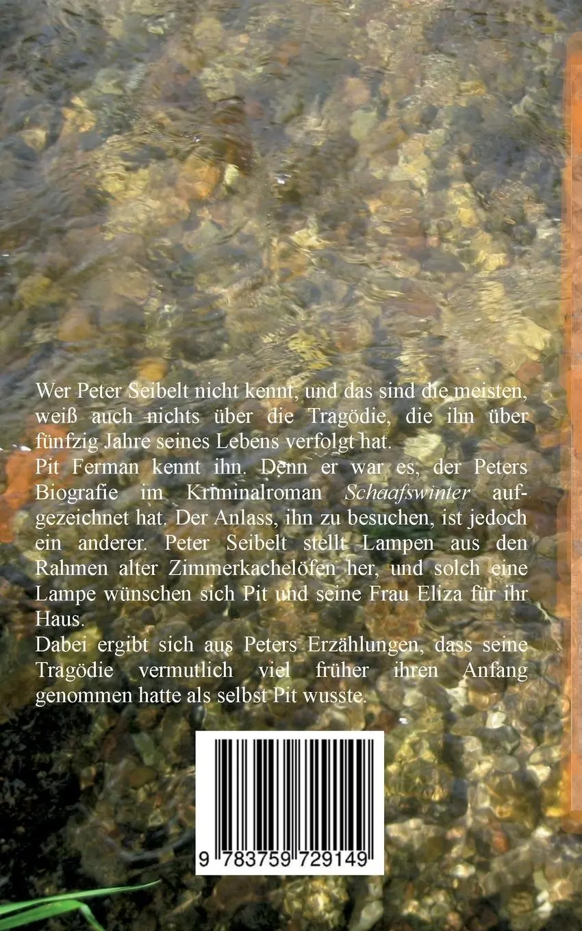 Rückseite: 9783759729149 | Schwimmende Steine | Pit Ferman | Taschenbuch | 202 S. | Deutsch