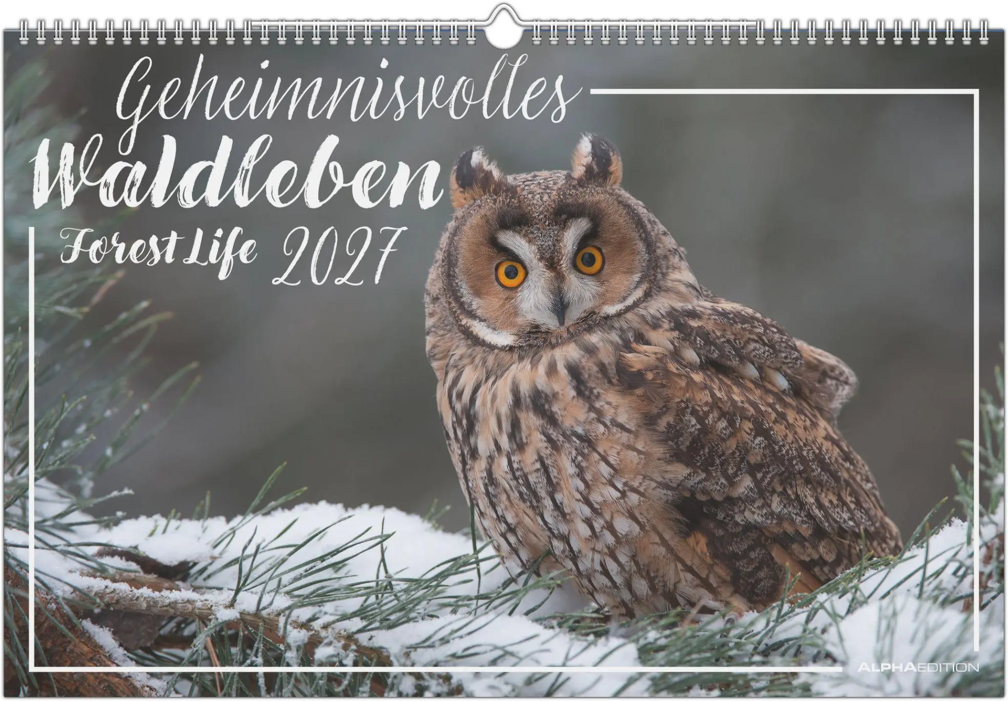 Cover: 4069095019249 | Geheimnisvolles Waldleben 2027 | Neumann Verlage GmbH &amp; Co KG | 14 S.