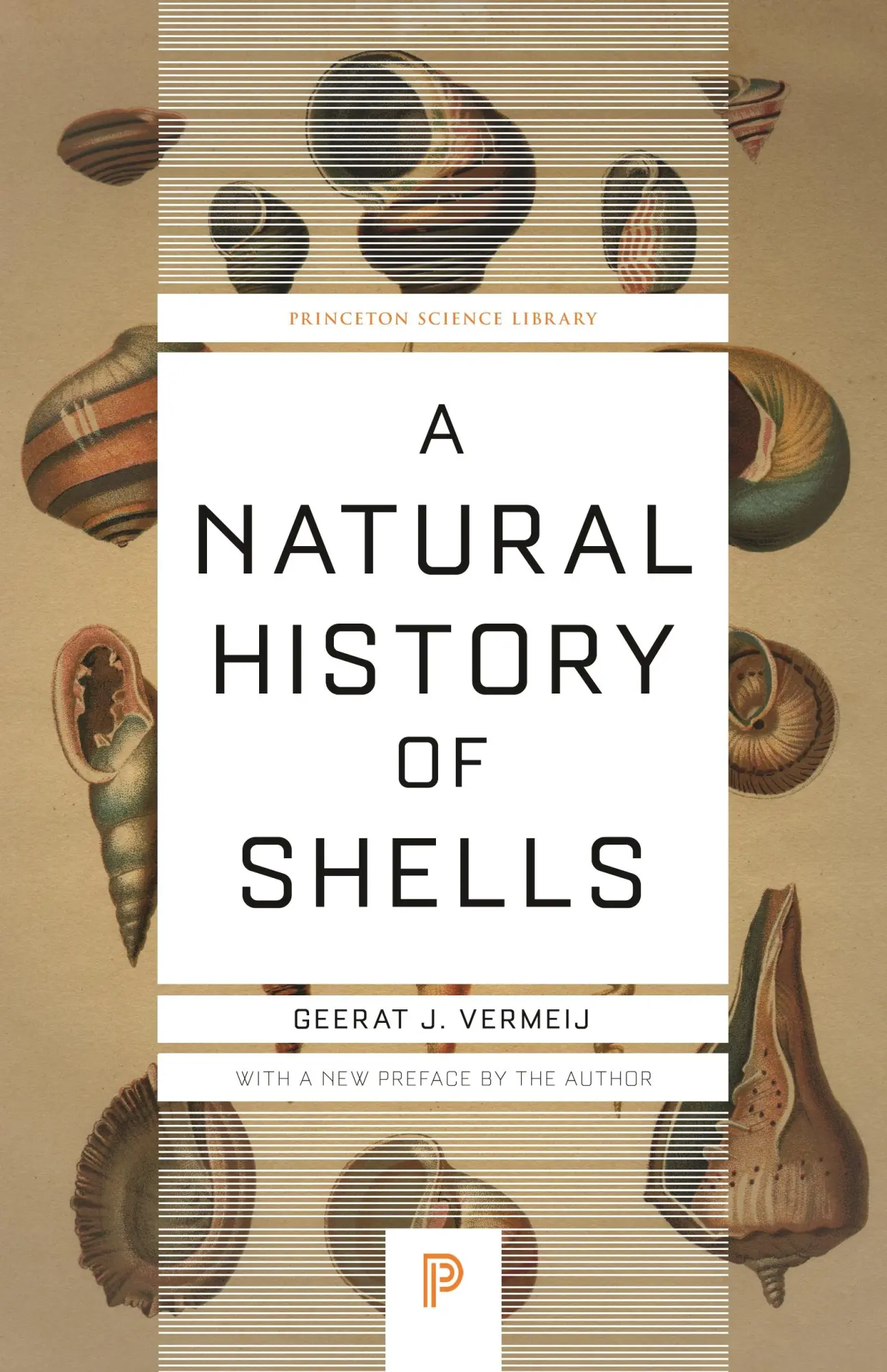 Cover: 9780691229249 | A Natural History of Shells | Geerat Vermeij | Taschenbuch | Englisch