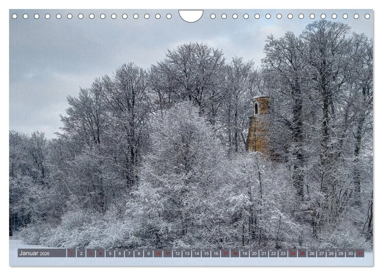 Bild: 9783457839249 | Das Steinfurter Bagno im Wandel der Jahreszeiten (Wandkalender 2026...