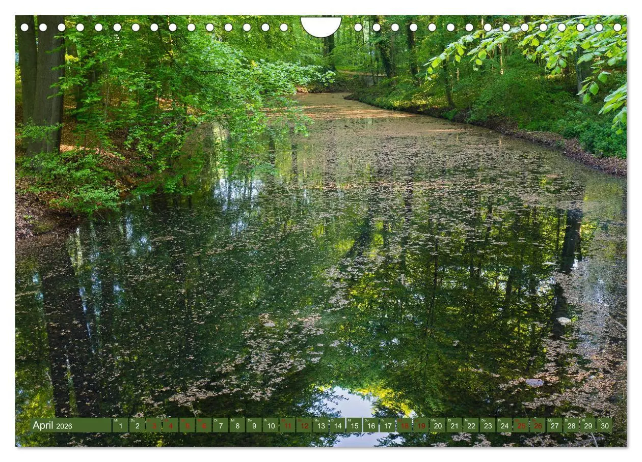 Bild: 9783457839249 | Das Steinfurter Bagno im Wandel der Jahreszeiten (Wandkalender 2026...