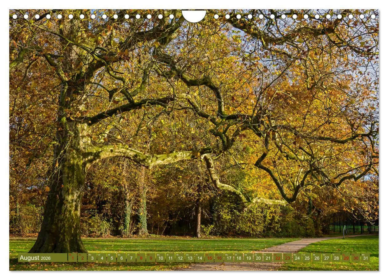 Bild: 9783457839249 | Das Steinfurter Bagno im Wandel der Jahreszeiten (Wandkalender 2026...