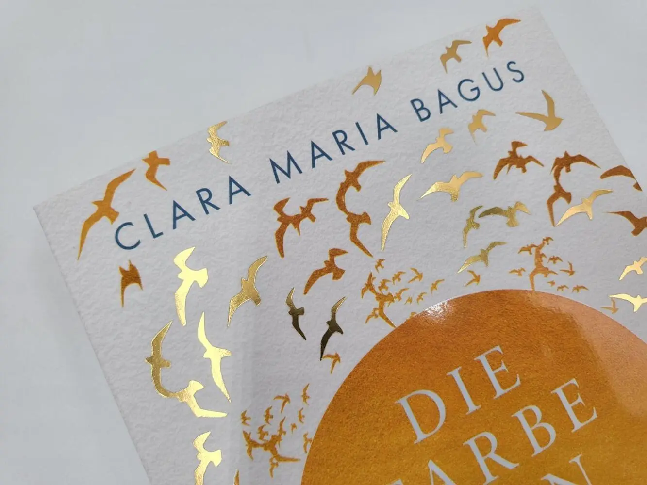 Bild: 9783492319249 | Die Farbe von Glück | Clara Maria Bagus | Taschenbuch | 352 S. | 2022