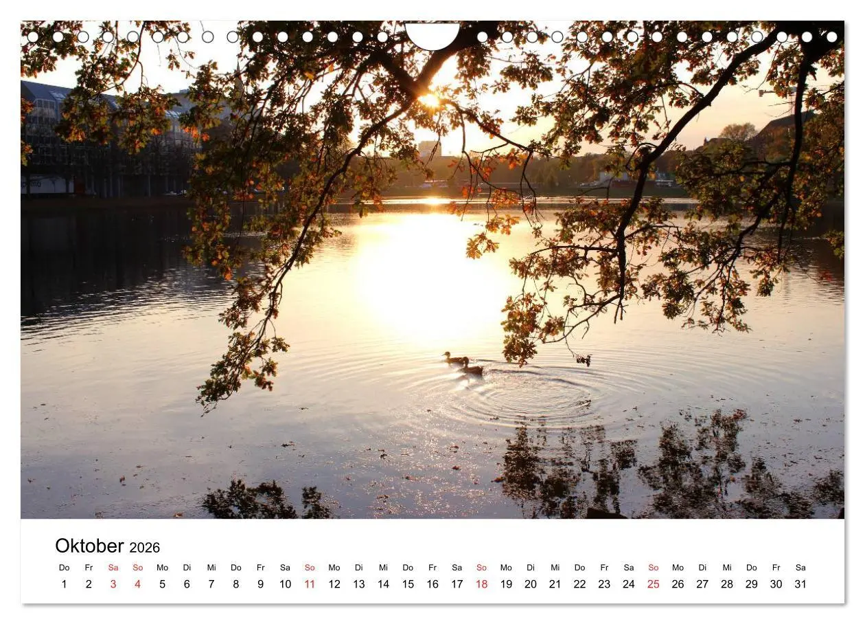 Bild: 9783516099249 | Schleswig-Holstein (Wandkalender 2026 DIN A4 quer), CALVENDO...