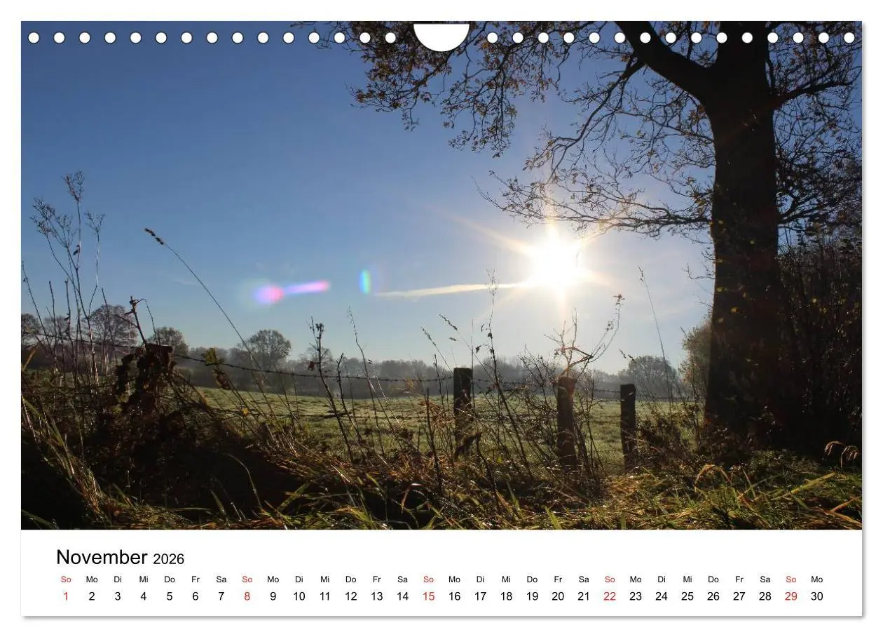 Bild: 9783516099249 | Schleswig-Holstein (Wandkalender 2026 DIN A4 quer), CALVENDO...