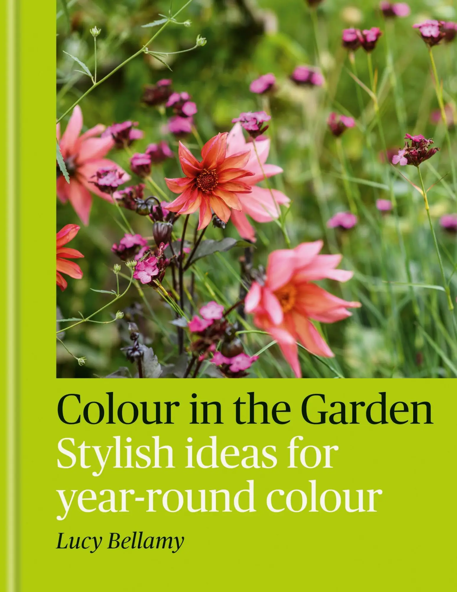 Cover: 9781784729349 | Colour in the Garden | Stylish ideas for year-round colour | Bellamy