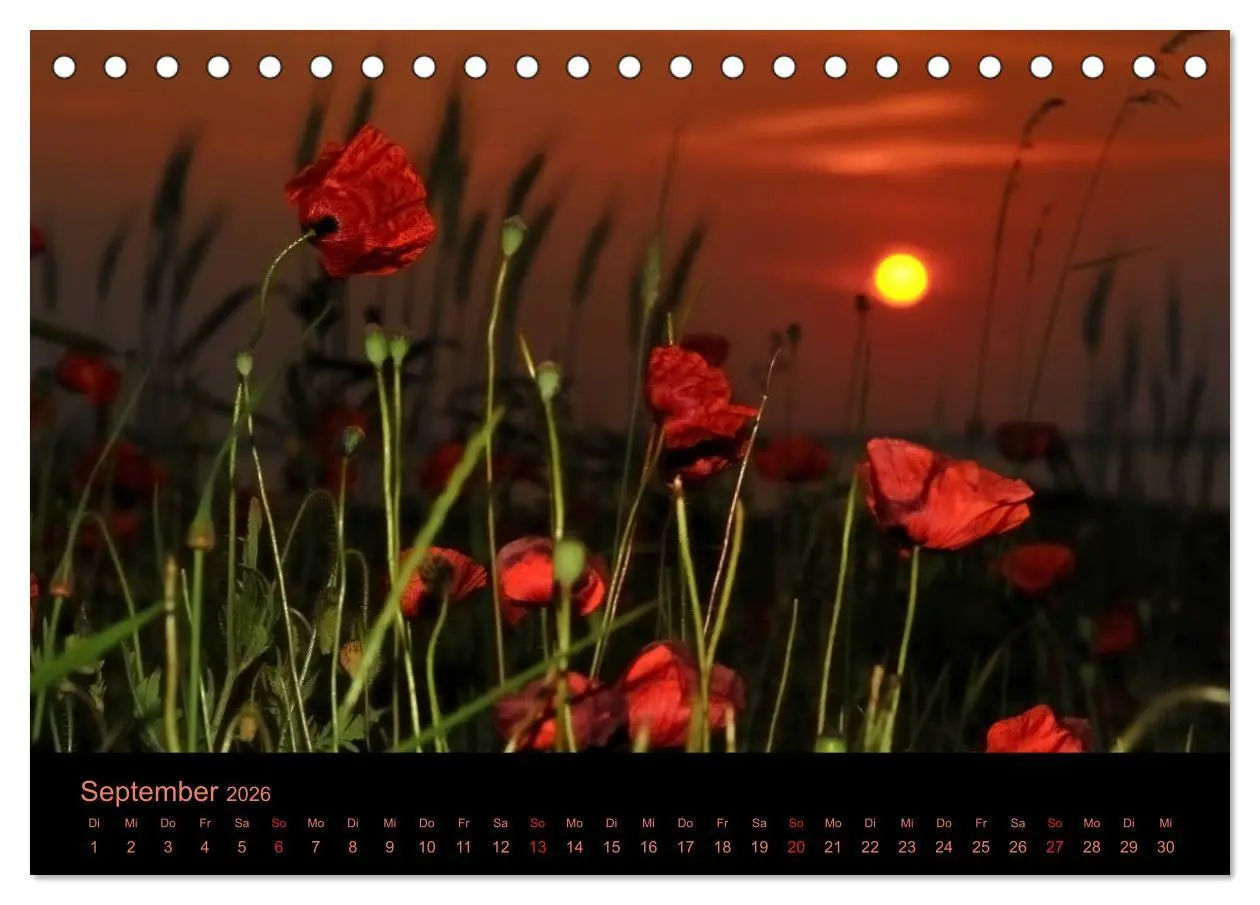Bild: 9783516229349 | Sonnenuntergang (Tischkalender 2026 DIN A5 quer), CALVENDO...