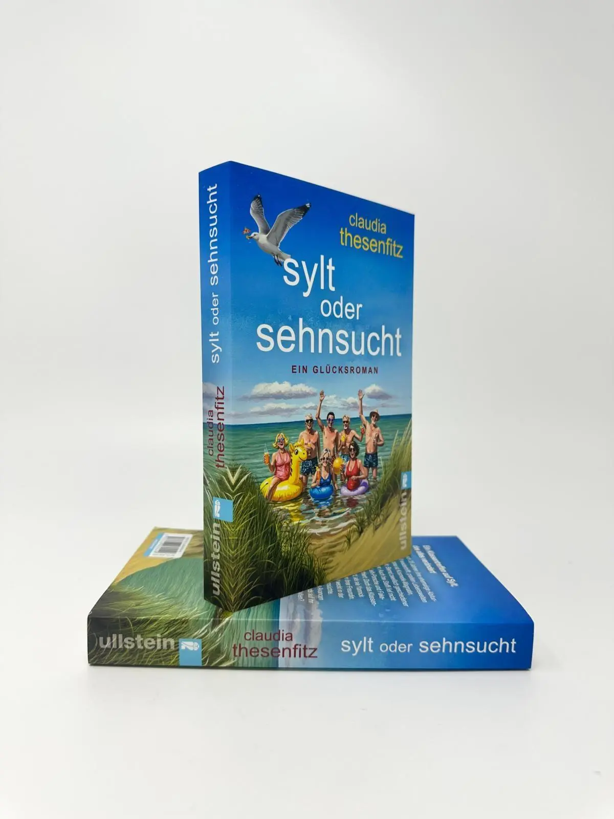Bild: 9783548069449 | Sylt oder Sehnsucht | Claudia Thesenfitz | Taschenbuch | 256 S. | 2026