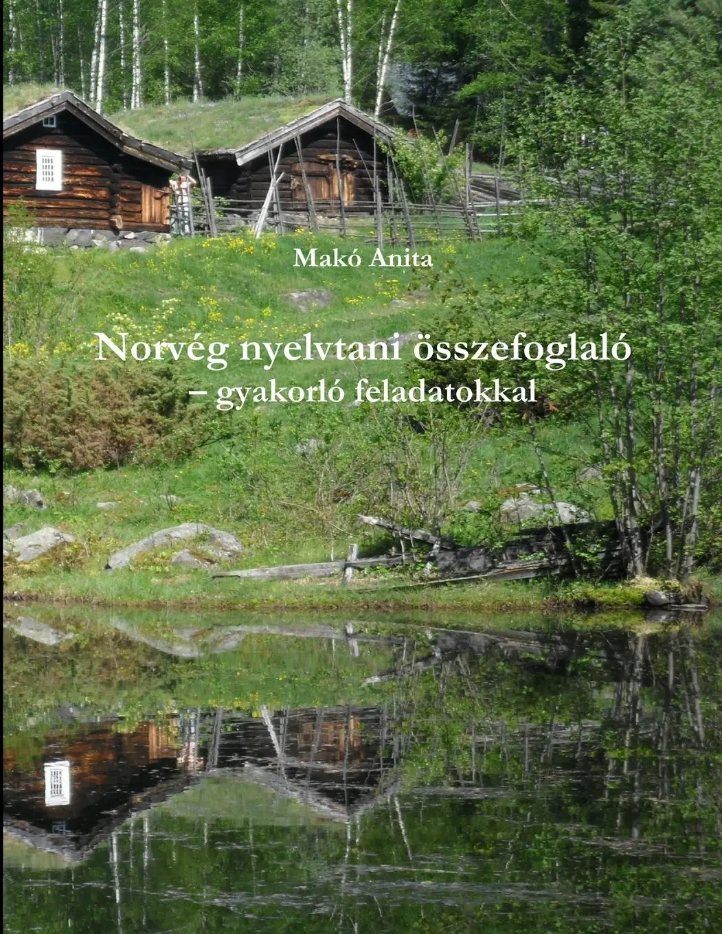 Cover: 9789630849449 | Norvég nyelvtan | Anita Makó | Taschenbuch | Kartoniert / Broschiert