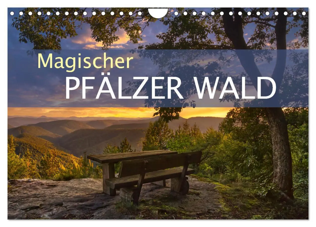 Cover: 9783383939549 | Magischer Pfälzer Wald (Wandkalender 2025 DIN A4 quer), CALVENDO...