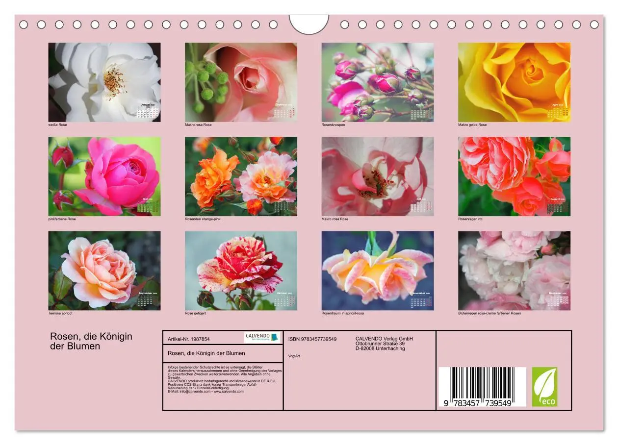 Bild: 9783457739549 | Rosen, die Königin der Blumen (Wandkalender 2026 DIN A4 quer),...