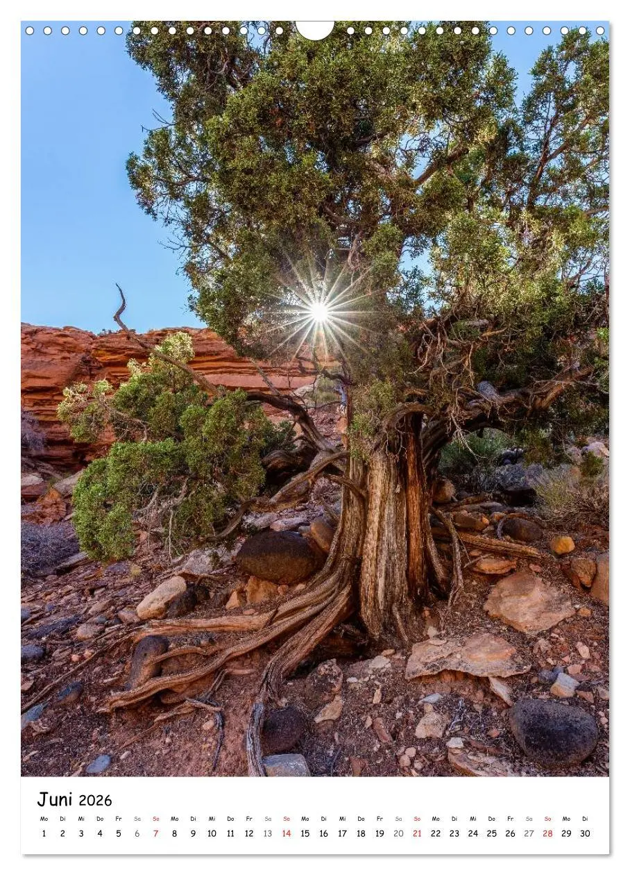 Bild: 9783516449549 | Eine Reise durch die Canyons der USA (Wandkalender 2026 DIN A3...