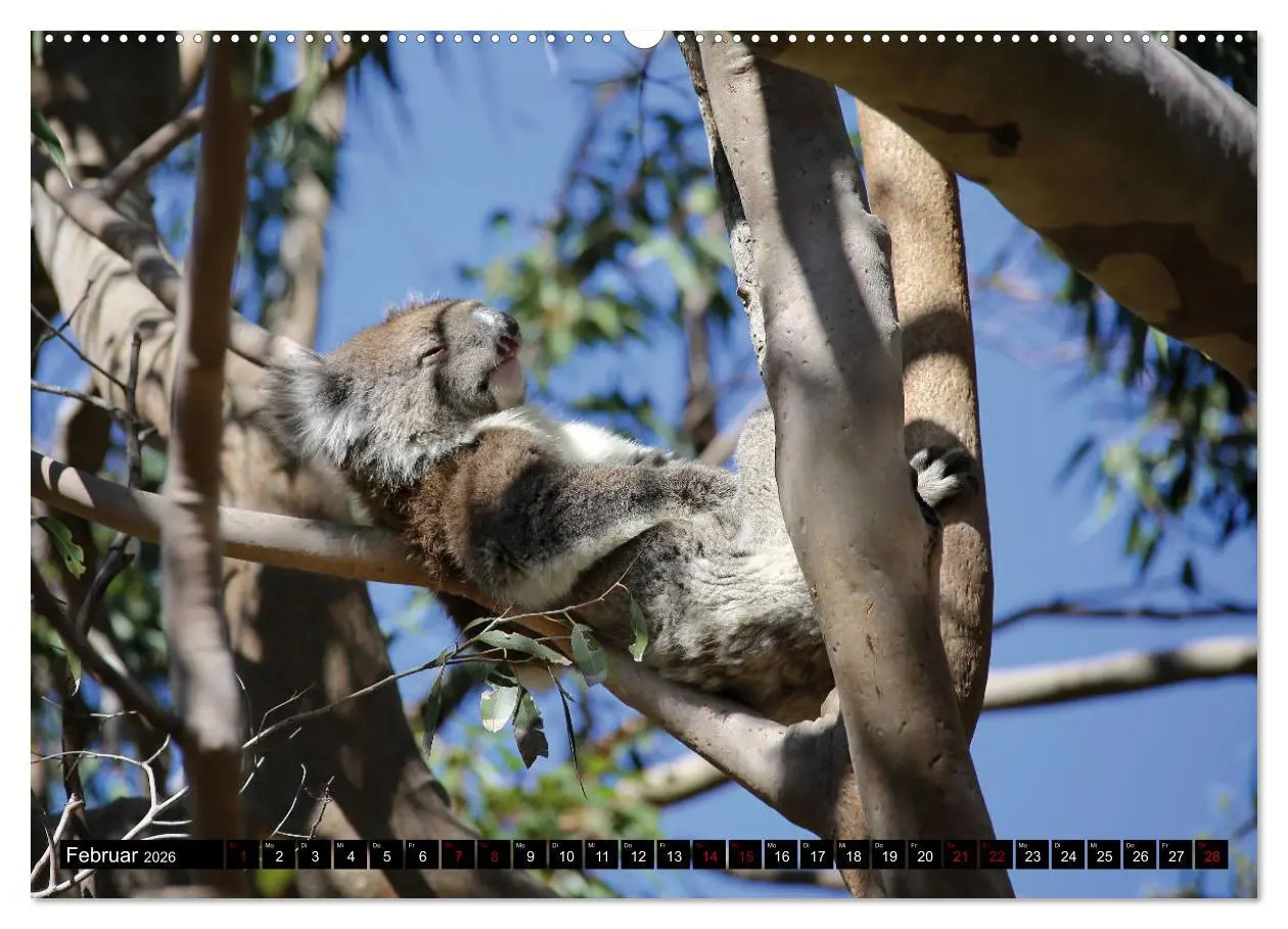 Bild: 9783457729649 | West-Australien (hochwertiger Premium Wandkalender 2026 DIN A2...