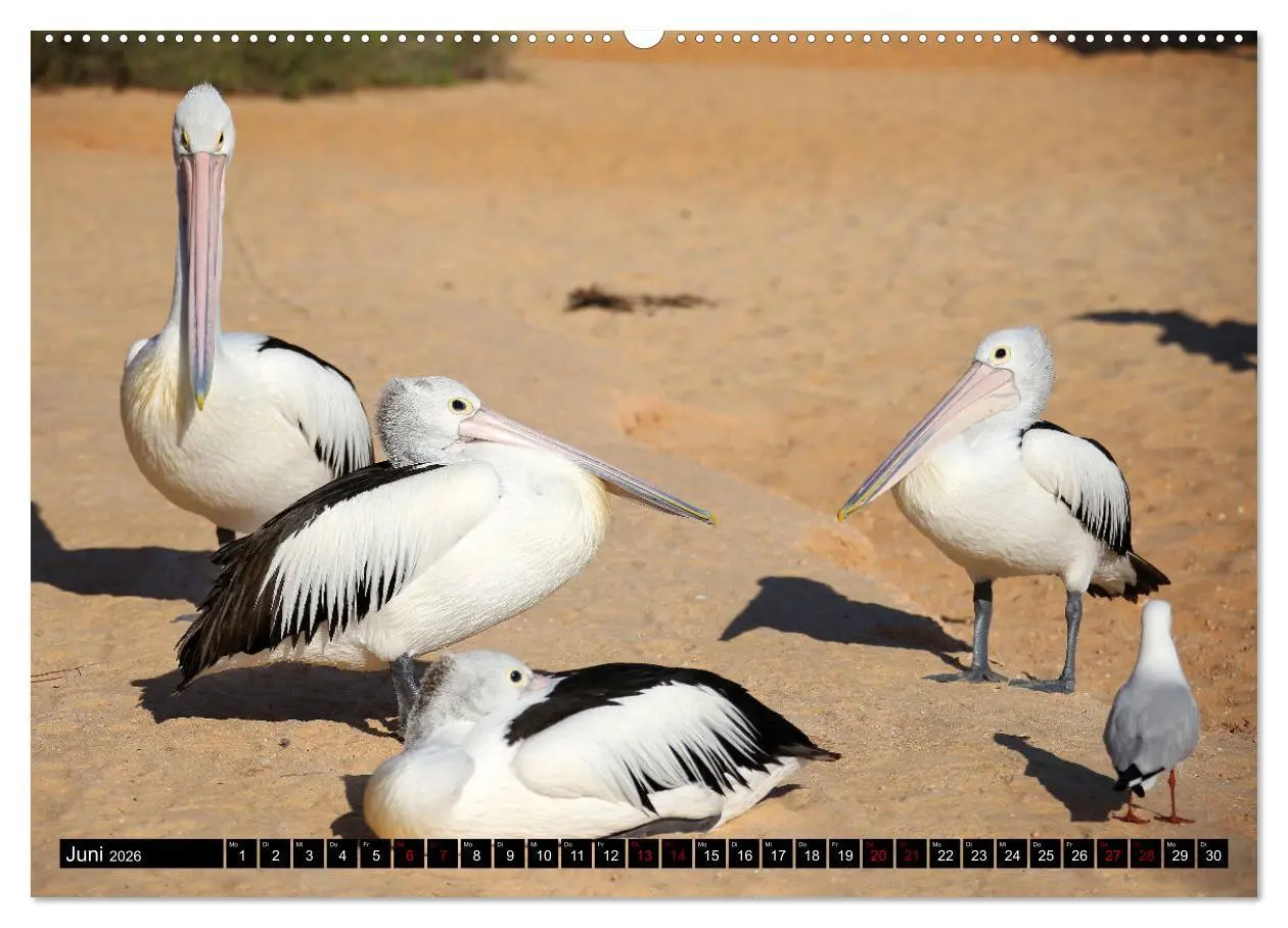 Bild: 9783457729649 | West-Australien (hochwertiger Premium Wandkalender 2026 DIN A2...