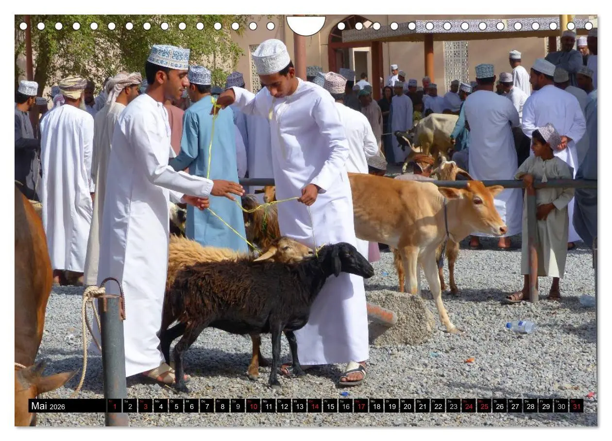 Bild: 9783516059649 | Faszinierendes Reiseland Oman (Wandkalender 2026 DIN A4 quer),...