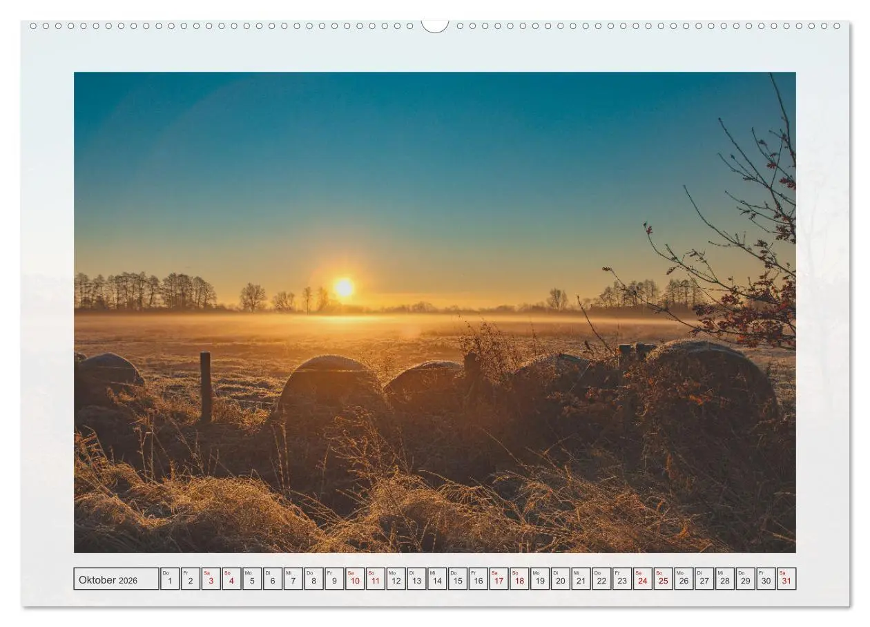 Bild: 9783457339749 | Naturpark Dümmer (hochwertiger Premium Wandkalender 2026 DIN A2...