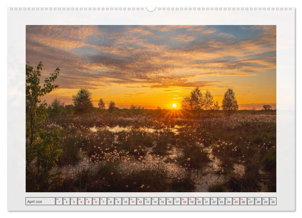 Bild: 9783457339749 | Naturpark Dümmer (hochwertiger Premium Wandkalender 2026 DIN A2...