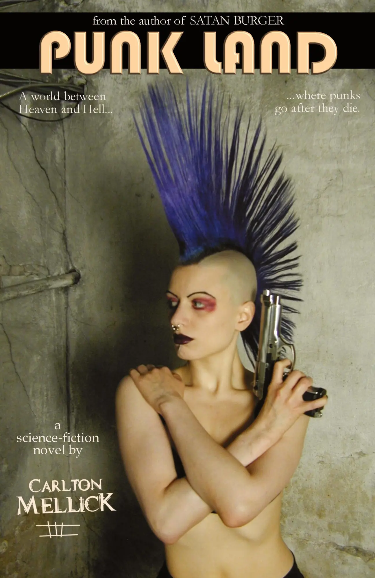 Cover: 9780976249849 | Punk Land | Carlton III Mellick | Taschenbuch | Englisch | 2005