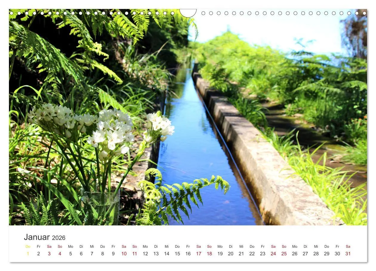Bild: 9783457639849 | Madeira - Eine wunderschöne Perle im Atlantik (Wandkalender 2026...