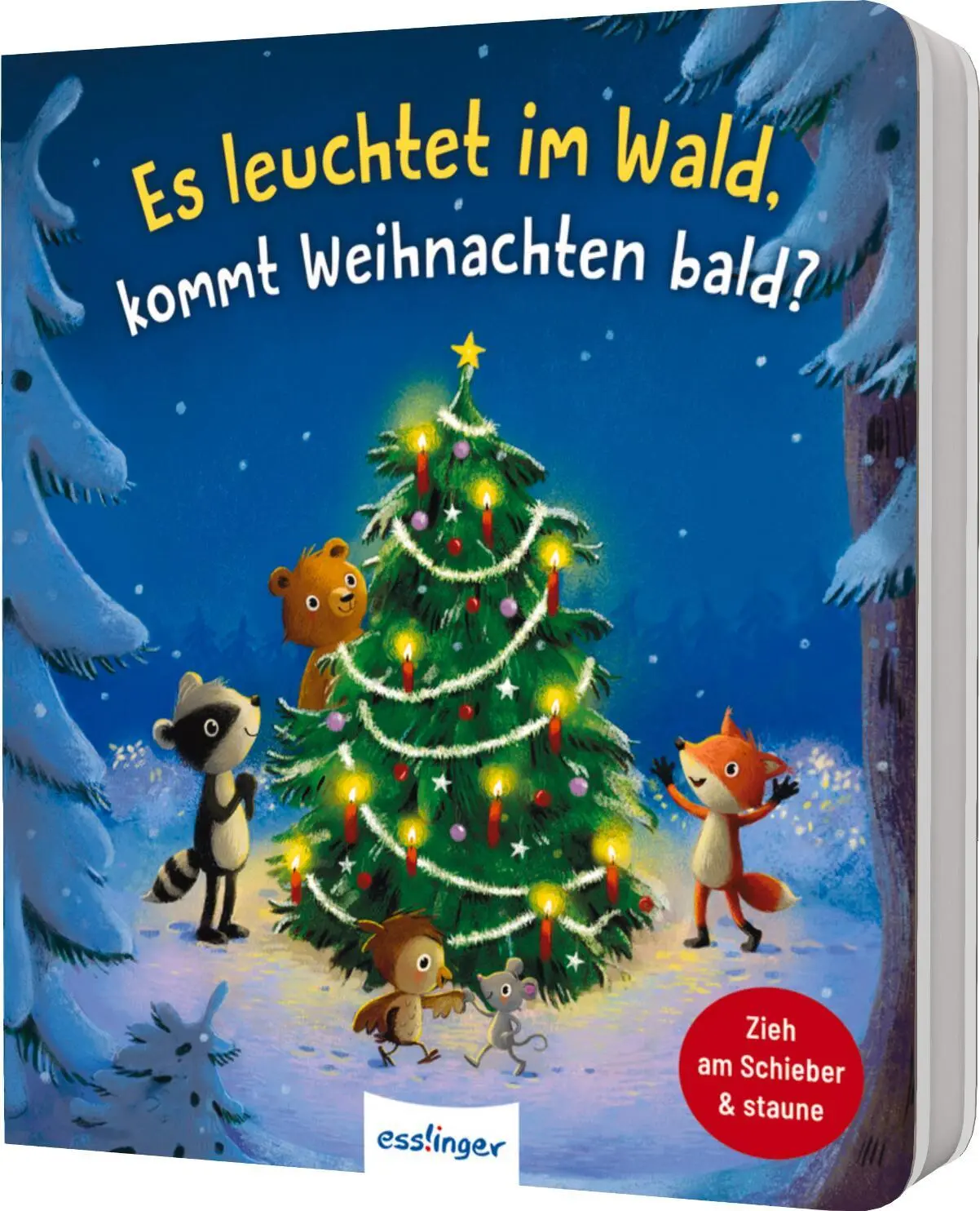 Cover: 9783480239849 | Es leuchtet im Wald, kommt Weihnachten bald? | Anja Kiel | Buch | 2025