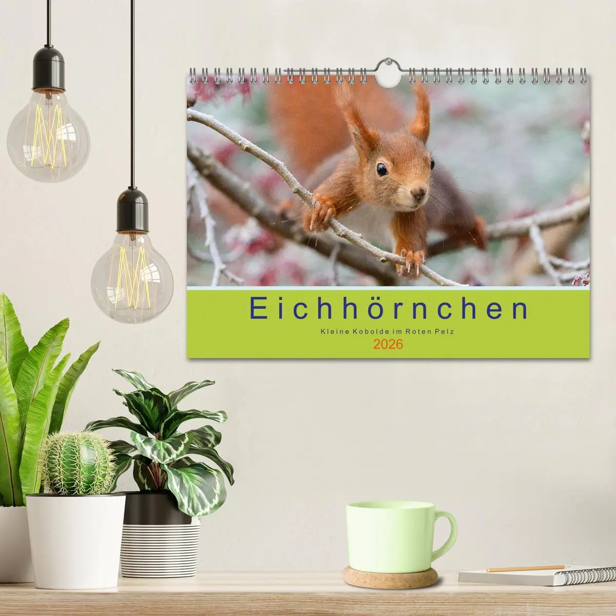Bild: 9783516039849 | Eichhörnchen - Kleine Kobolde im Roten Pelz (Wandkalender 2026 DIN...