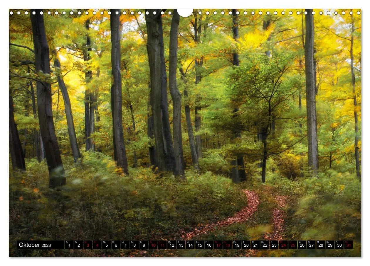 Bild: 9783457869949 | Die Rhön (Wandkalender 2026 DIN A3 quer), CALVENDO Monatskalender