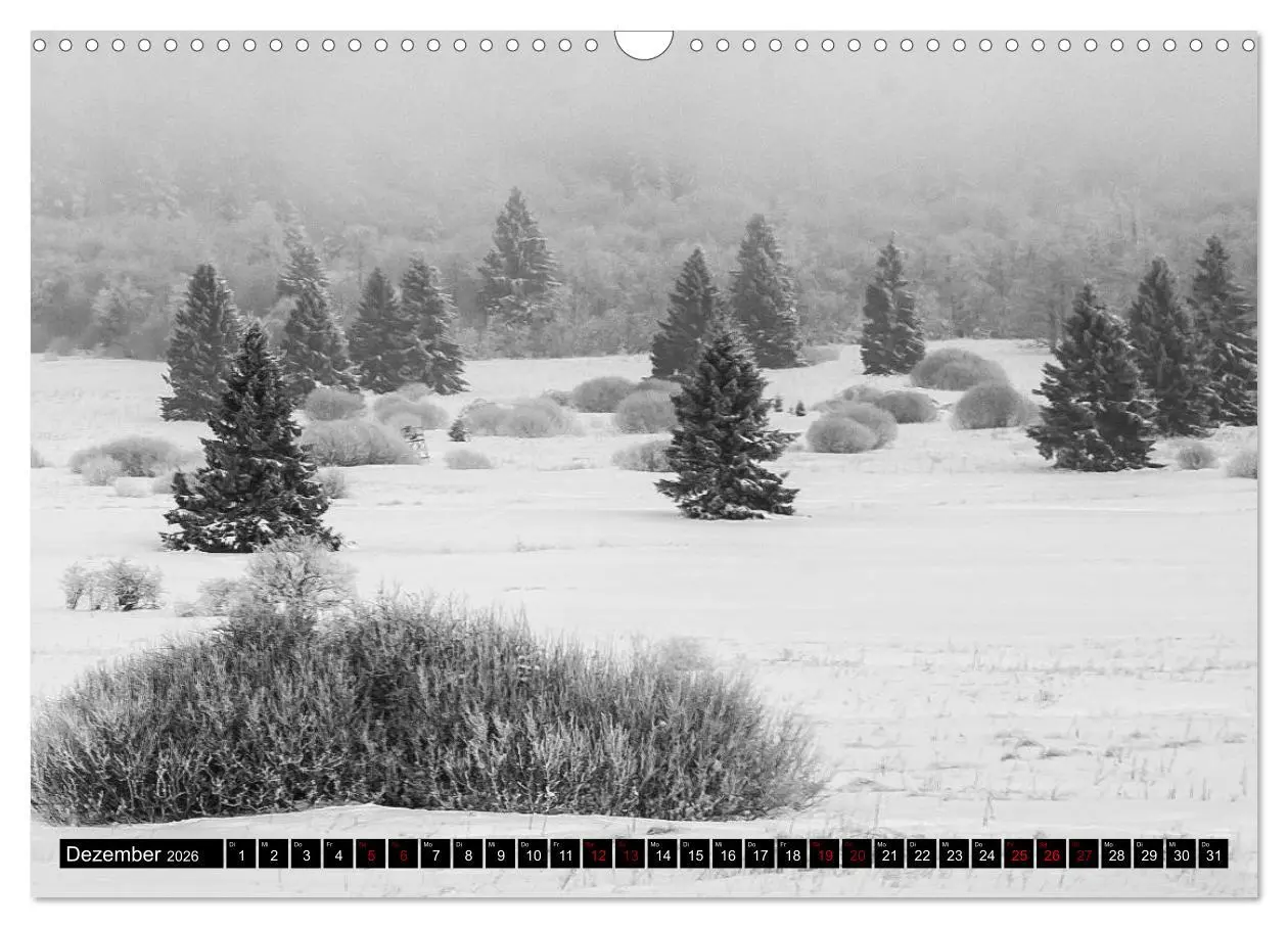 Bild: 9783457869949 | Die Rhön (Wandkalender 2026 DIN A3 quer), CALVENDO Monatskalender