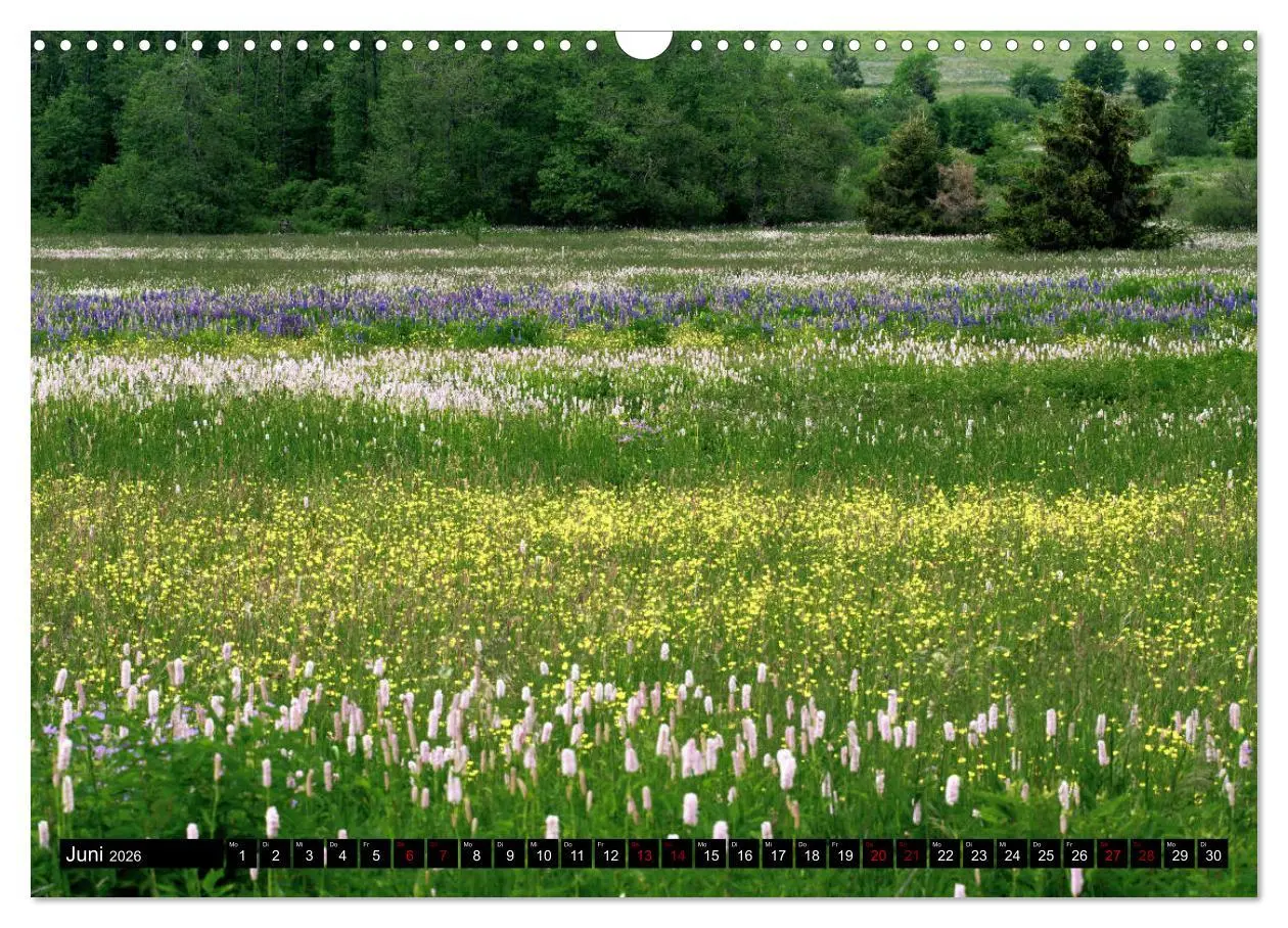 Bild: 9783457869949 | Die Rhön (Wandkalender 2026 DIN A3 quer), CALVENDO Monatskalender
