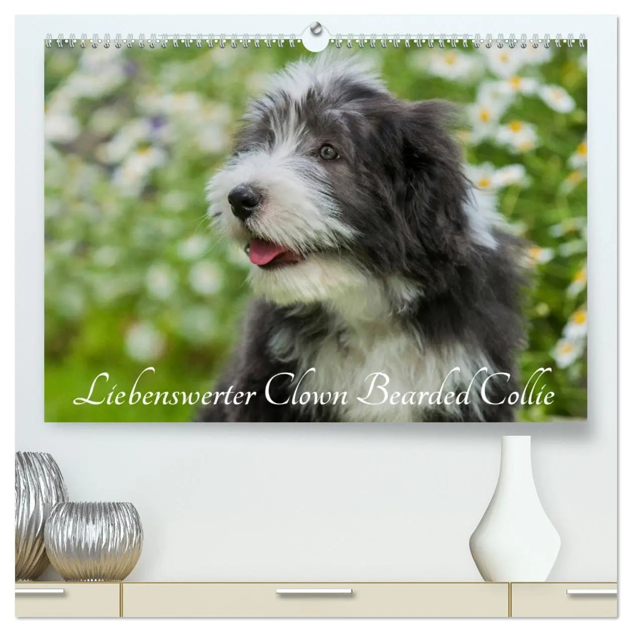 Cover: 9783516029949 | Liebenswerter Clown Bearded Collie (hochwertiger Premium...