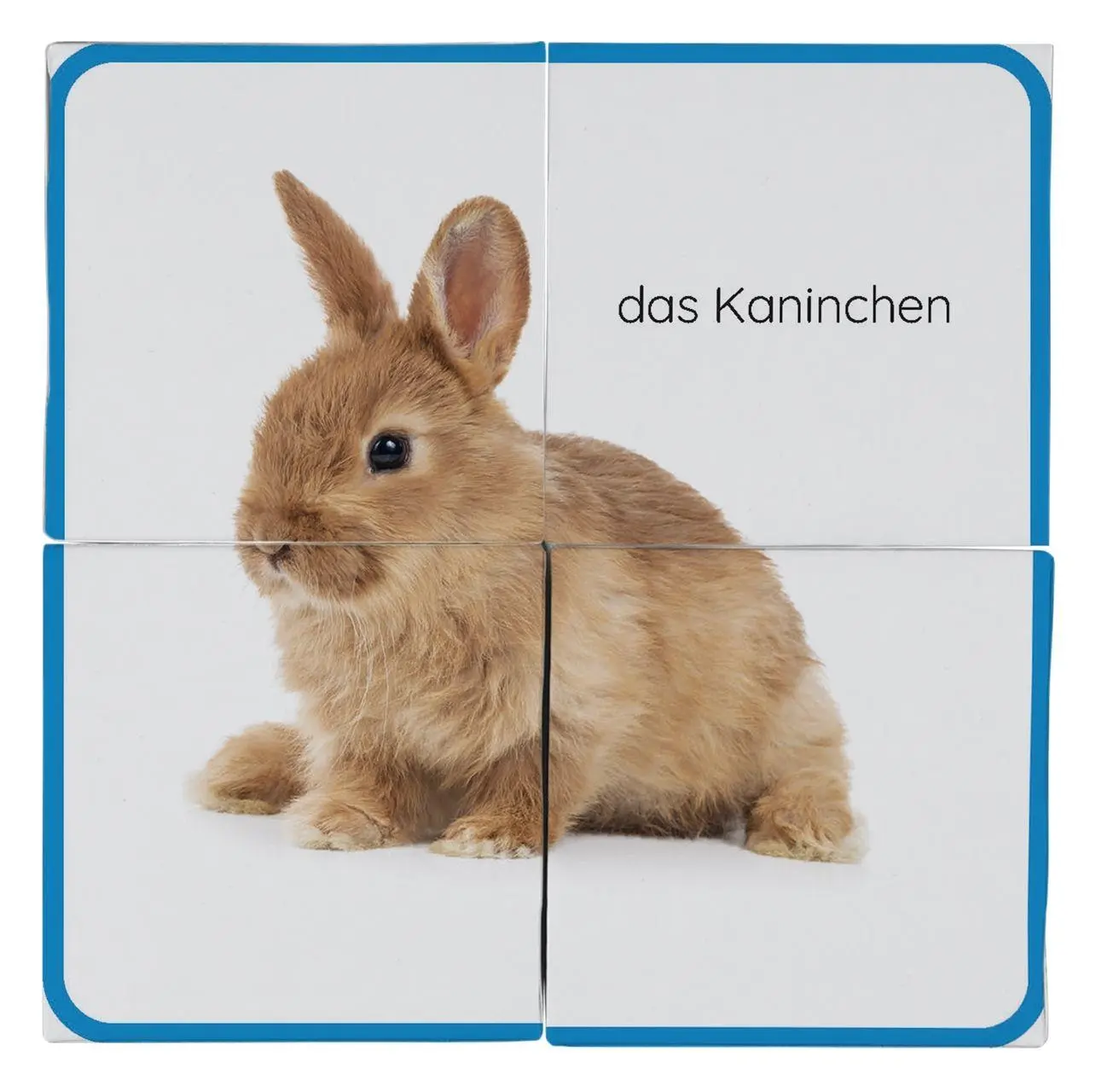 Bild: 4260690440050 | Erstes Lernen Würfelpuzzle. Haustiere | DK Erstes Lernen | Puzzle