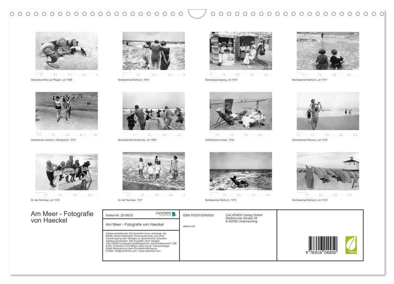 Bild: 9783516040050 | Am Meer - Fotografie von Haeckel (Wandkalender 2026 DIN A3 quer),...