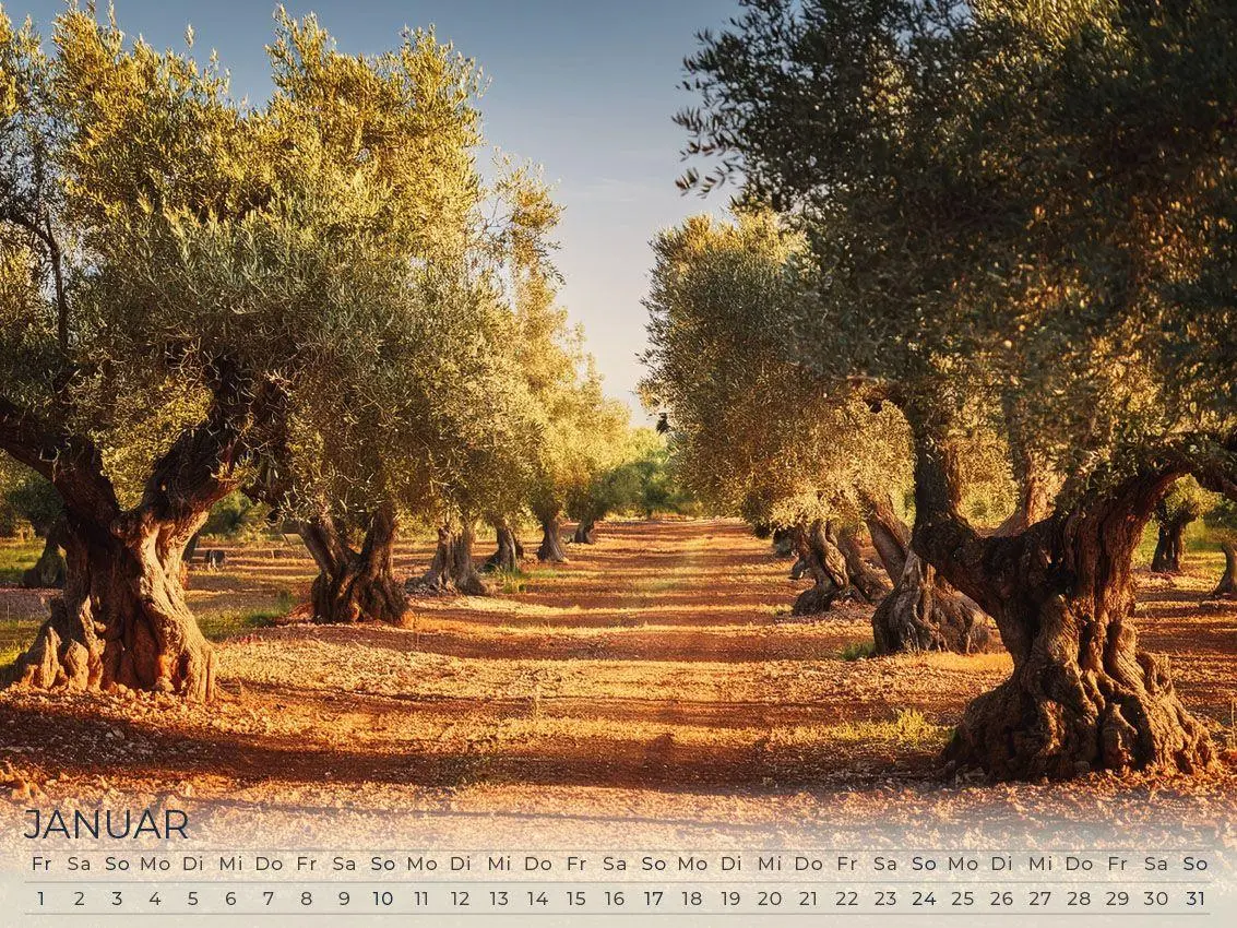 Bild: 9783693570050 | Mallorca - Schönheit im Mittelmeer Kalender 2027 | Pommer (u. a.)
