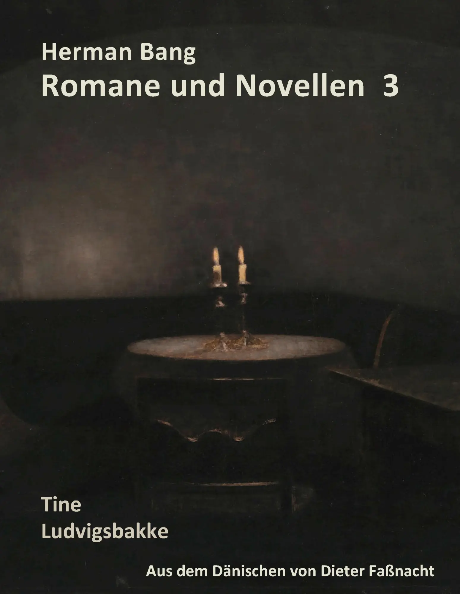 Cover: 9783741220050 | Herman Bang Romane und Novellen Band 3 | Dieter Faßnacht | Buch | 2016