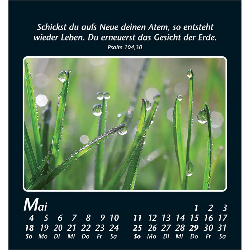 Bild: 9783754880050 | Zeit der Stille 2025 | Kalender | Spiralbindung | Kalender | Deutsch