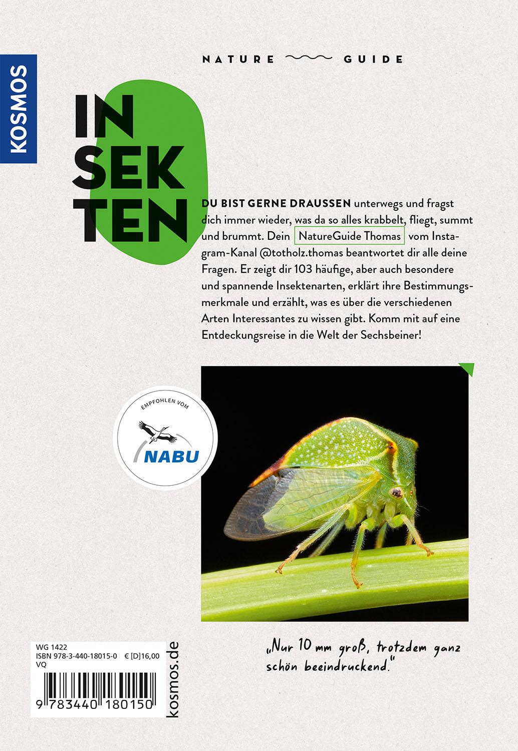 Bild: 9783440180150 | Nature Guide Insekten | Thomas Hörren | Taschenbuch | 160 S. | Deutsch