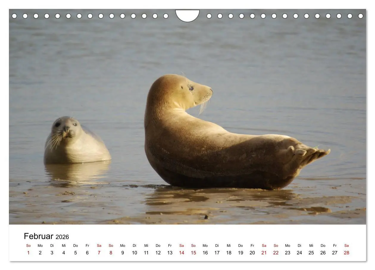 Bild: 9783457870150 | Deutsche Hochseeinsel Helgoland (Wandkalender 2026 DIN A4 quer),...