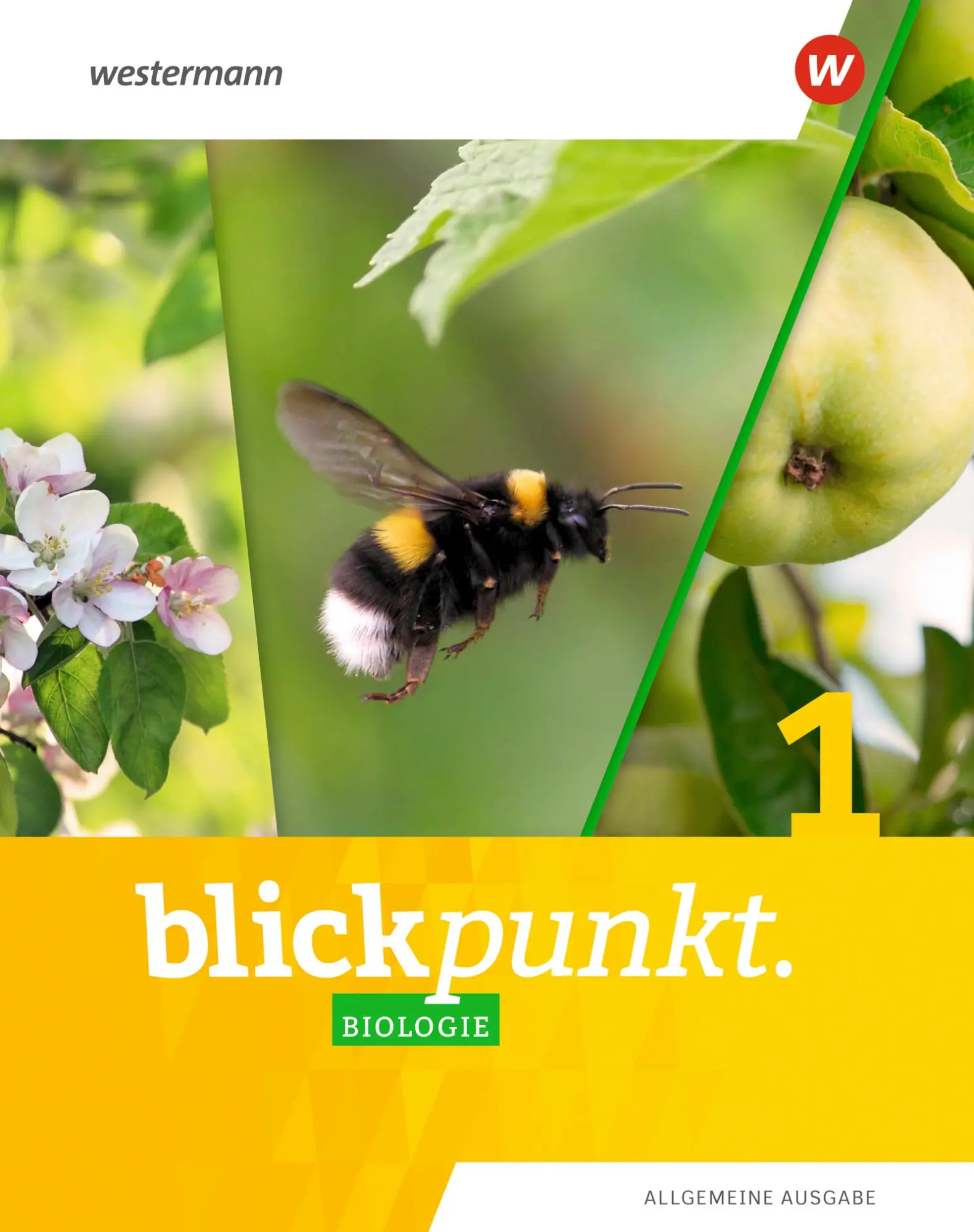 Cover: 9783141880250 | Blickpunkt Biologie 1. Schulbuch. Allgemeine Ausgabe | Ausgabe 2020
