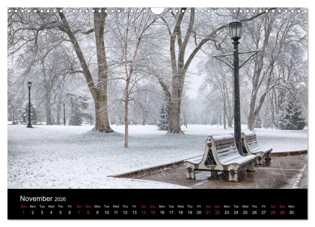 Bild: 9783516570250 | Niagara Falls 2026 (Wall Calendar 2026 DIN A3 landscape), CALVENDO...