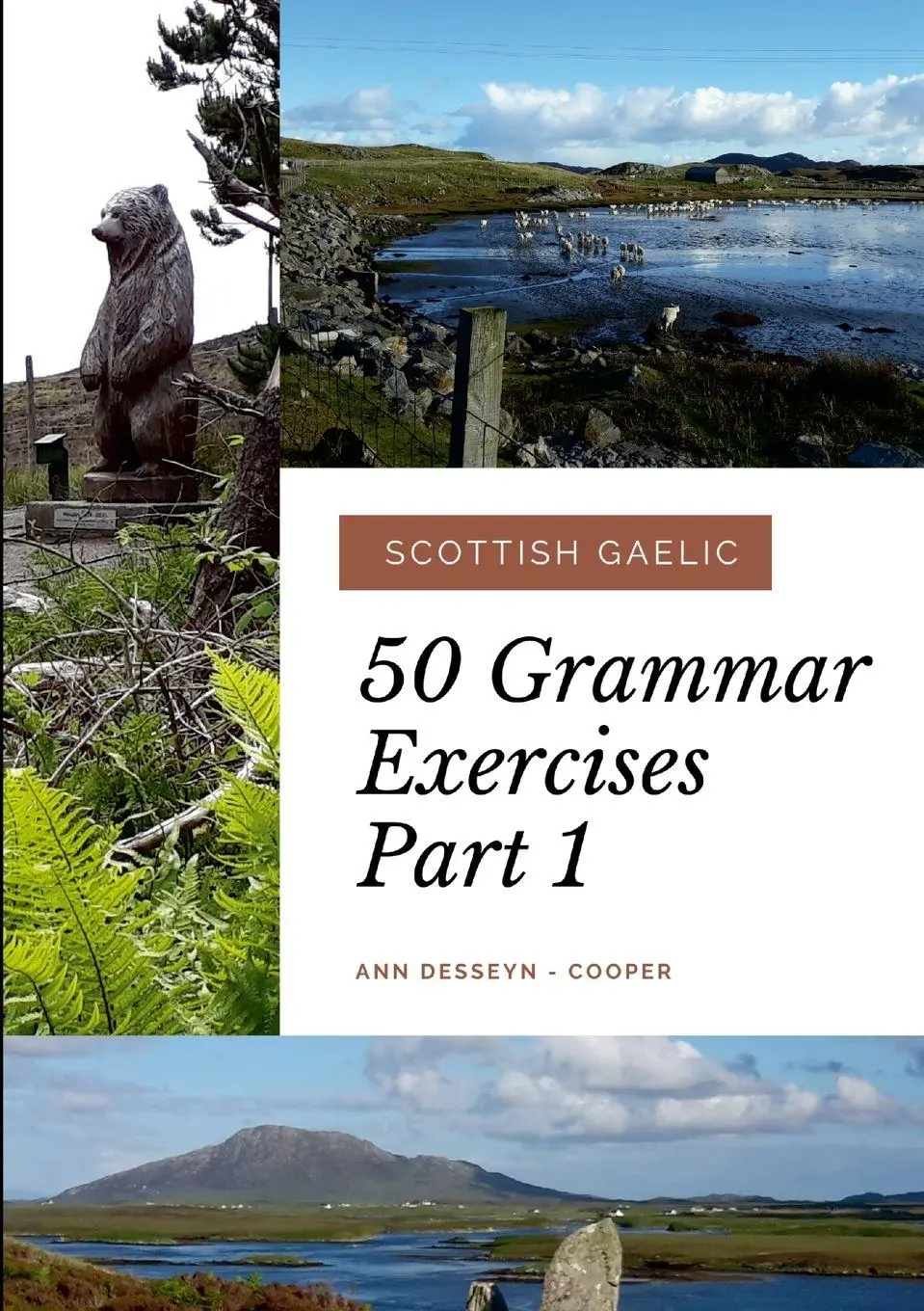 Cover: 9781678060350 | 50 Grammar Exercises Part 1 | Ann Desseyn - Cooper | Taschenbuch