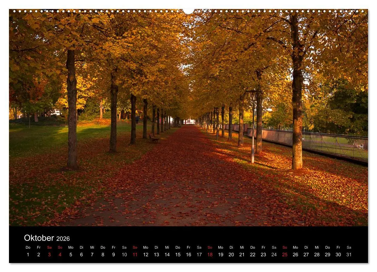 Bild: 9783516010350 | Hanau und Umgebung (Wandkalender 2026 DIN A2 quer), CALVENDO...