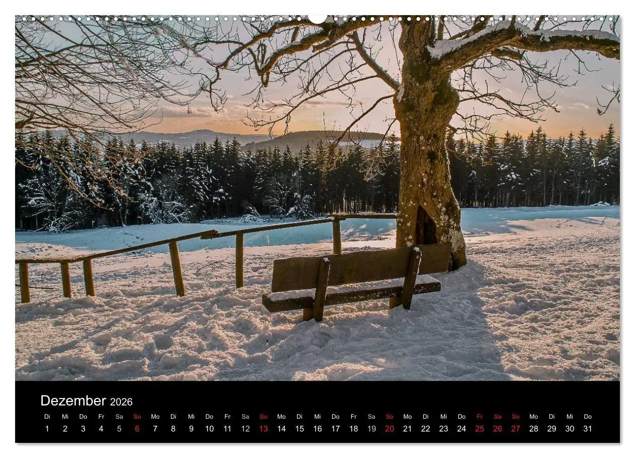 Bild: 9783516010350 | Hanau und Umgebung (Wandkalender 2026 DIN A2 quer), CALVENDO...