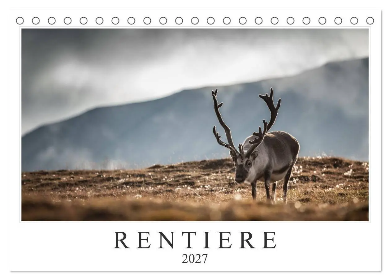 Cover: 9783569720350 | Rentiere (Tischkalender 2027 DIN A5 quer), CALVENDO Monatskalender