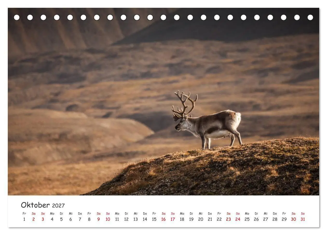 Bild: 9783569720350 | Rentiere (Tischkalender 2027 DIN A5 quer), CALVENDO Monatskalender