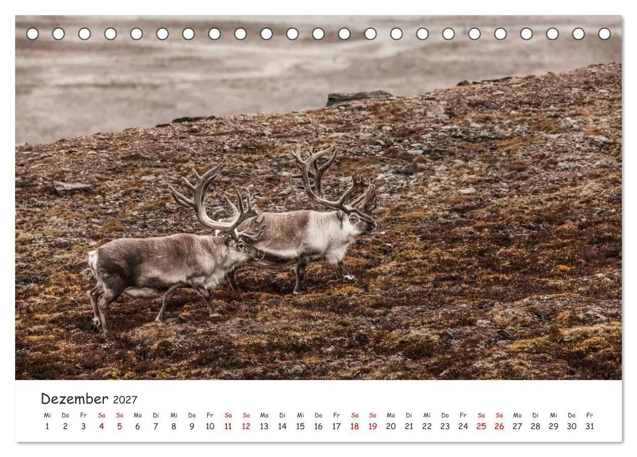 Bild: 9783569720350 | Rentiere (Tischkalender 2027 DIN A5 quer), CALVENDO Monatskalender