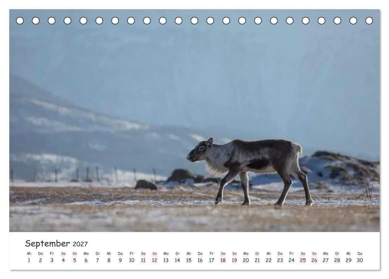 Bild: 9783569720350 | Rentiere (Tischkalender 2027 DIN A5 quer), CALVENDO Monatskalender
