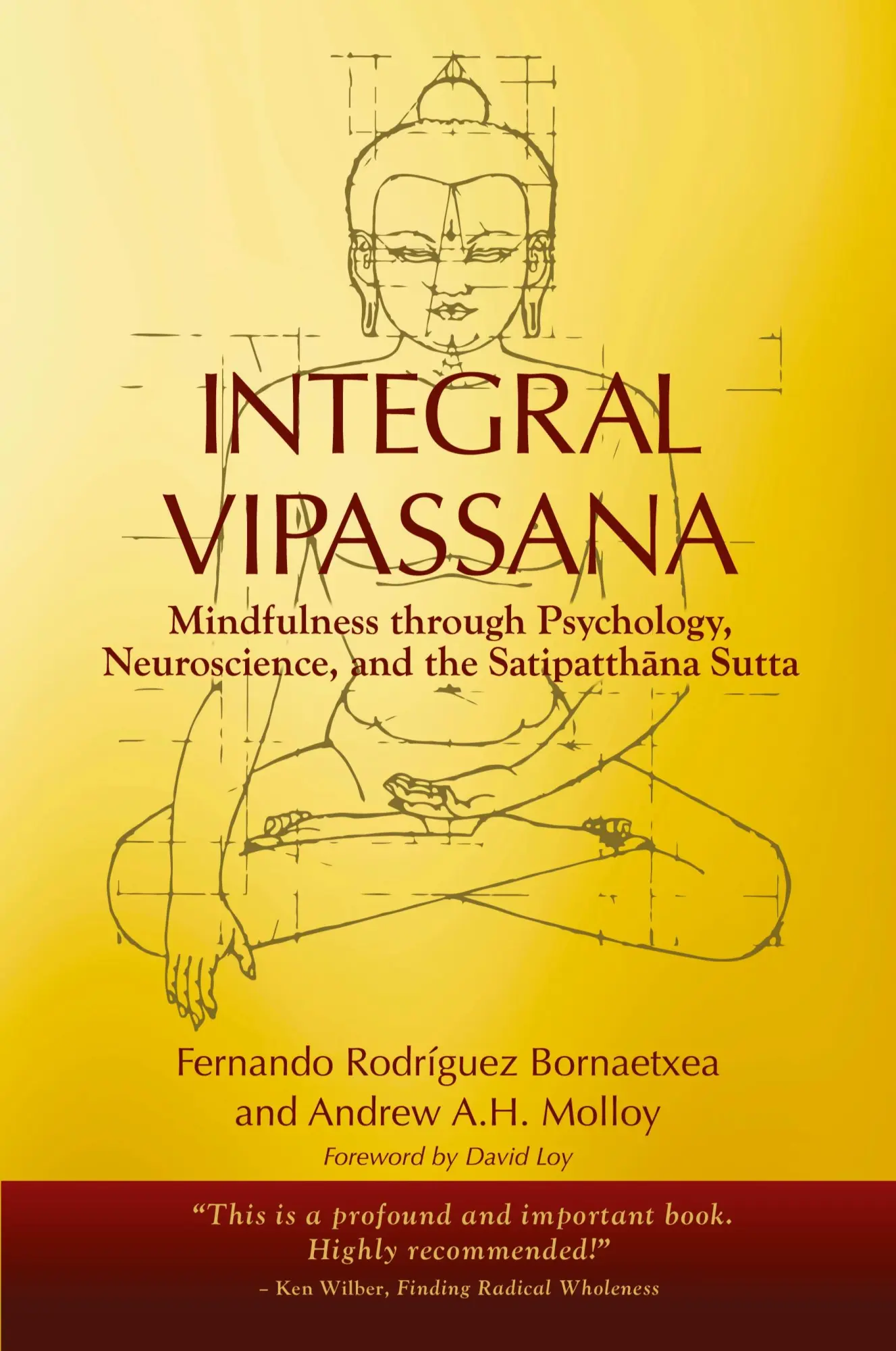 Cover: 9798987920350 | Integral Vipassana | Fernando Rodríguez Bornaetxea (u. a.) | Buch